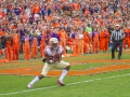 Clemson-vs-FSU-5243