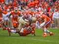 Clemson-vs-FSU-5255