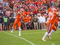 Clemson-vs-FSU-5293
