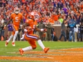 Clemson-vs-FSU-5436