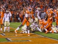 Clemson-vs-FSU-5877