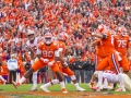 Clemson-vs-FSU-5239