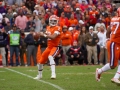 Clemson-vs-FSU-5292