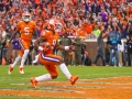 Clemson-vs-FSU-5436