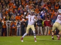 Clemson-vs-FSU-5671