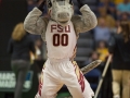 Missouri-vs-Florida-State-University-0086