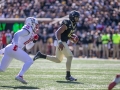 November 2, 2019: Wake Forest Demon Deacons quarterback Jamie Newman (12) gets past the NC State defense to score during NCAA football action between the NC State Wolfpack and the Wake Forest Demon Deacons at BB&T Field in Winston-Salem, NC. Jonathan Huff/CSM