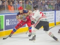 Rail-Yard-Dawgs-vs-Huntsville-Havoc-0035