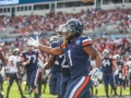 December 29, 2018: Virginia Cavaliers running back Jordan Ellis (1) celebrates a touchdown in the second quarter during NCAA football action between the South Carolina Gamecocks and the Virginia Cavilers at Bank of America Stadium in Charlotte, NC. Jonathan Huff/CSM